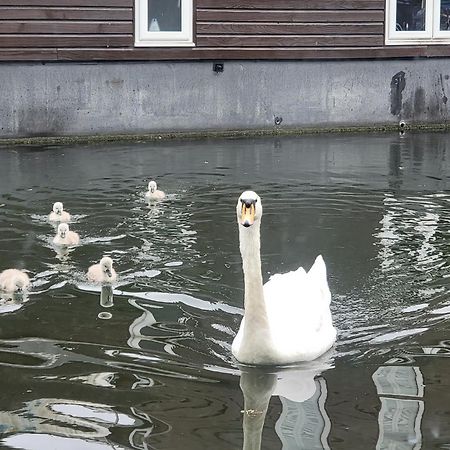 Lovely Canal Boat In Little Venice For Family & Friends ลอนดอน ภายนอก รูปภาพ