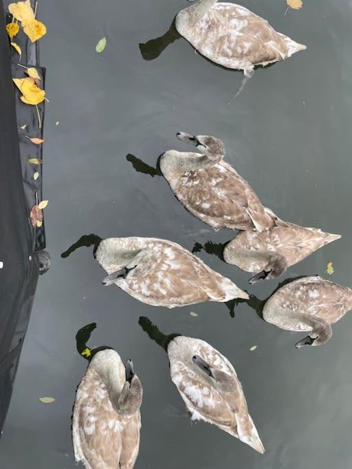 Lovely Canal Boat In Little Venice For Family & Friends ลอนดอน ภายนอก รูปภาพ