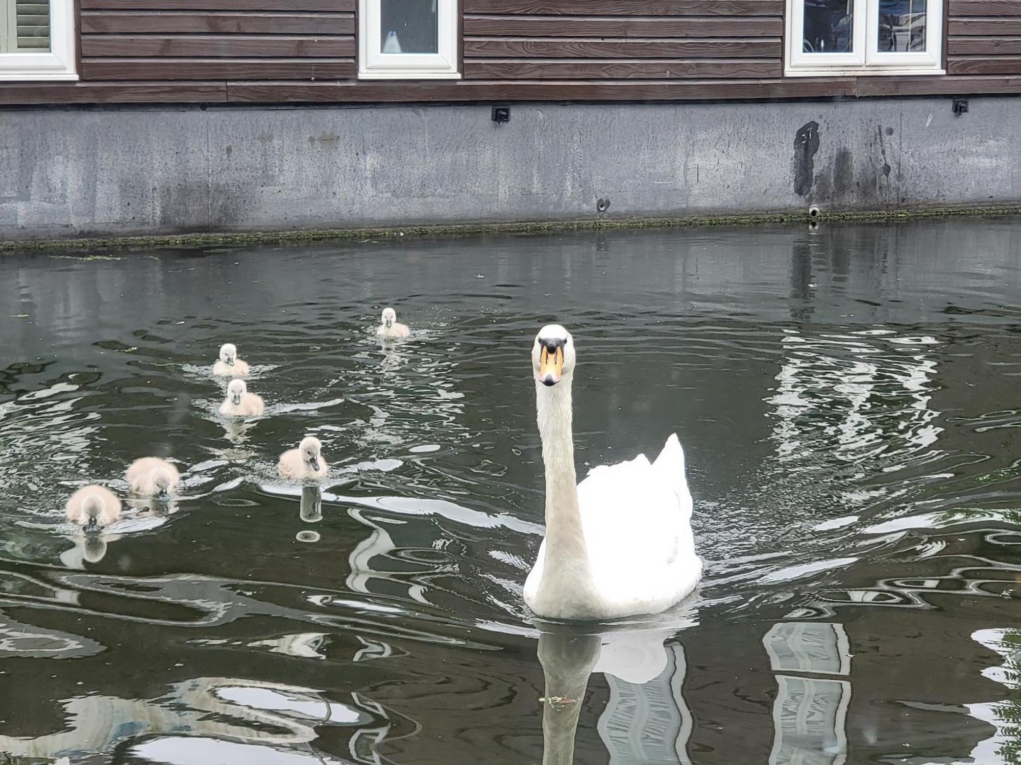 Lovely Canal Boat In Little Venice For Family & Friends ลอนดอน ภายนอก รูปภาพ